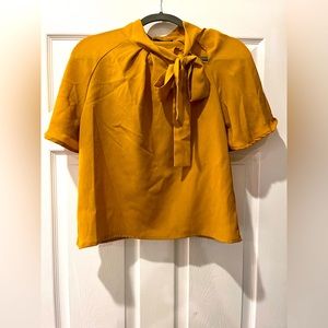 Necktie Gold Professional blouse